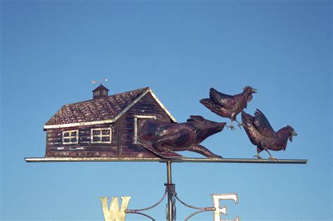 metal art-fox in the hen house|Fox Farm House Art .